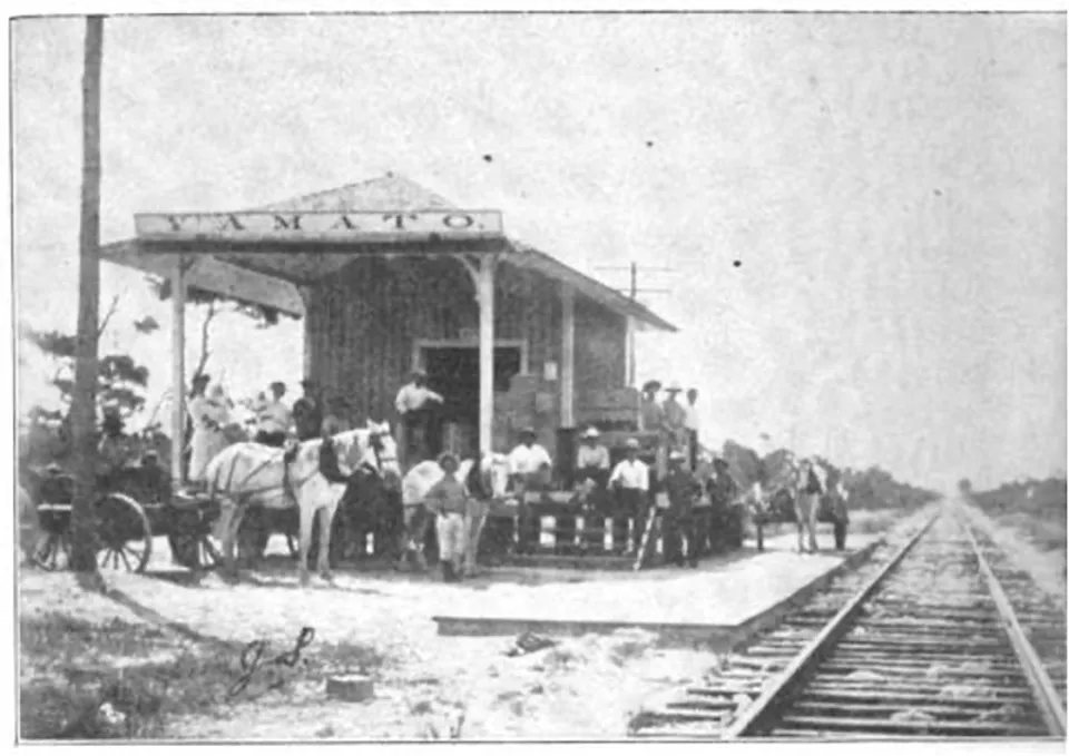 1905