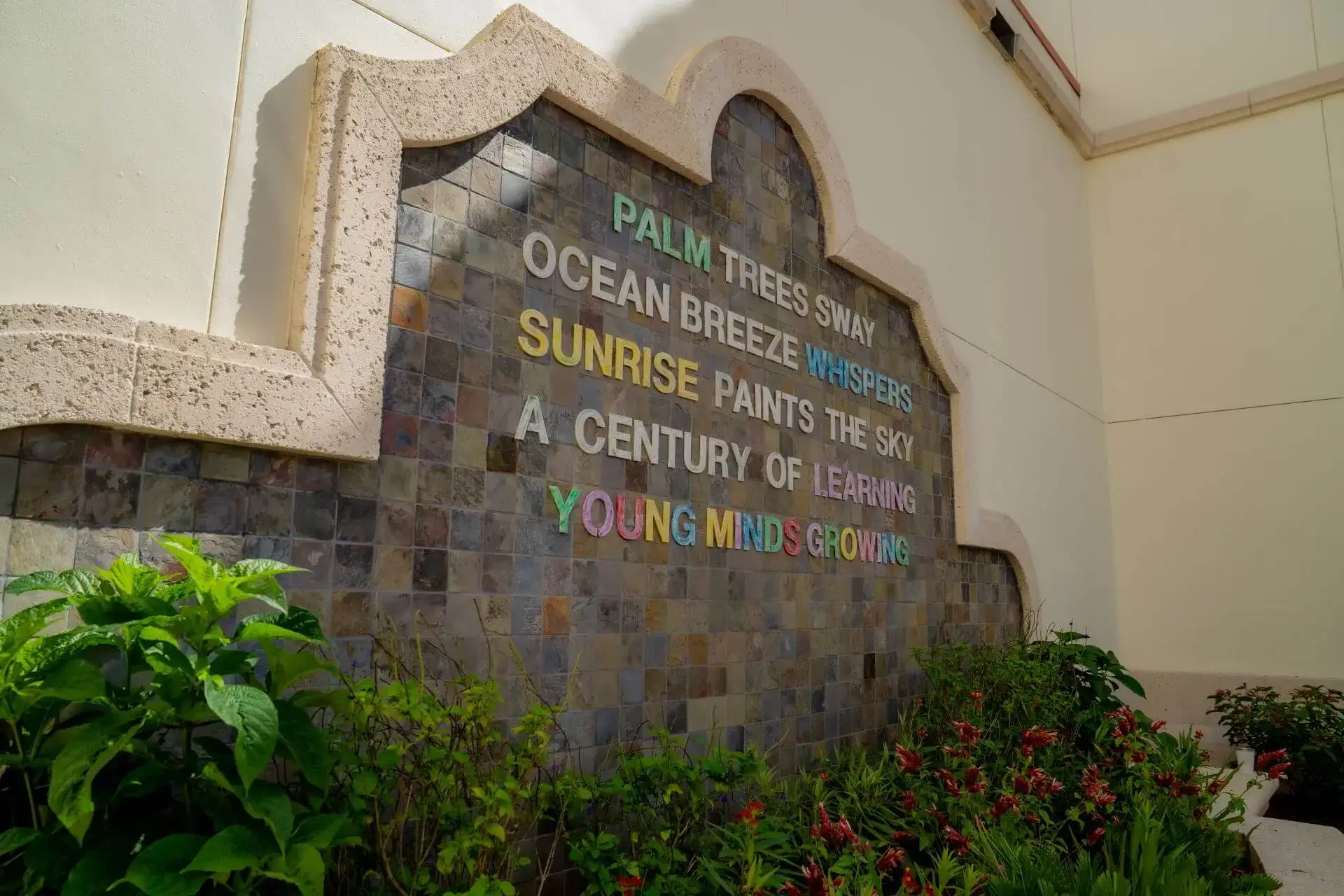 Palm Trees Sway Palm Trees Sway